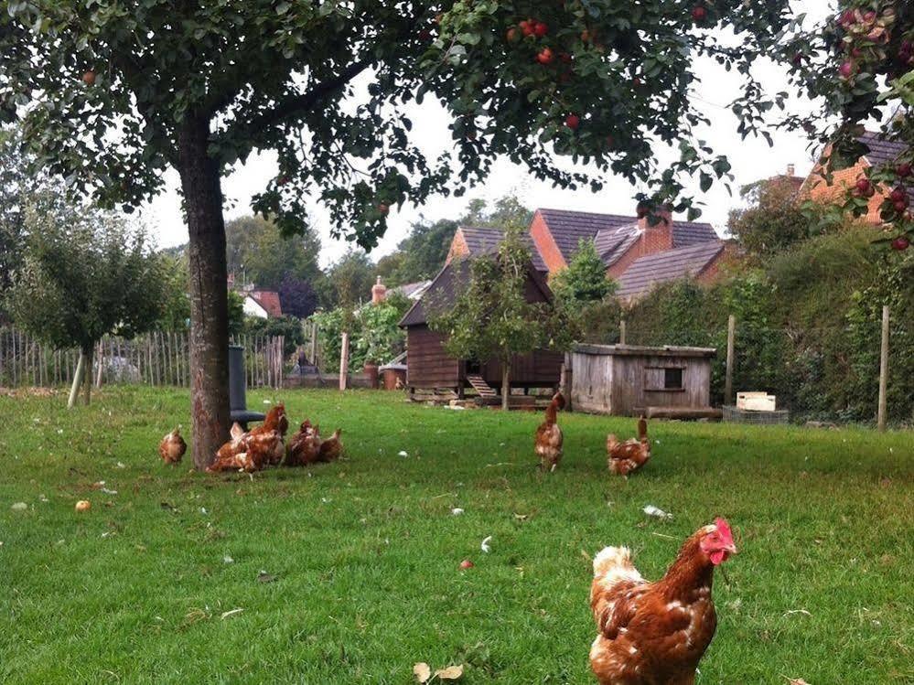 Cider Cottages Burley Kültér fotó
